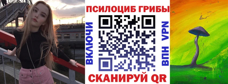 Псилоцибиновые грибы Magic Shrooms Купить Дивногорск